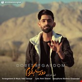 دانلود آهنگ جدید امیر شراری بنام دورت بگردم